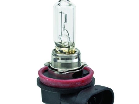 Hella Bulb H9 12V 65W PGJ19-5 T4 Supply